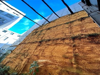 PEDROSO 10