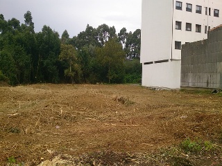 ESTRADA CASTELA 4