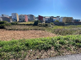 CAMUZA 2