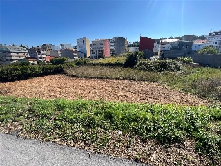 CAMUZA 3
