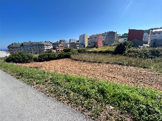 CAMUZA 4