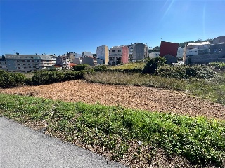 CAMUZA 5