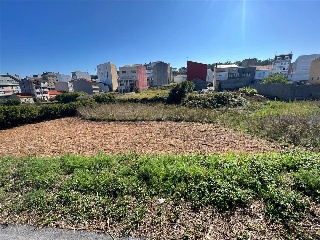 CAMUZA 6