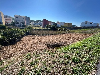 CAMUZA 7