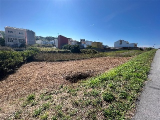 CAMUZA 8