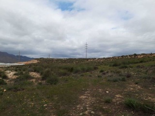 PARAJE LOMA DE RODENAS 3