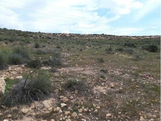 PARAJE LOMA DE RODENAS 4