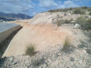 PARAJE LOMA DE RODENAS 7