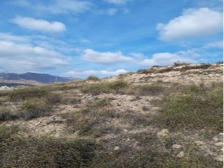 PARAJE LOMA DE RODENAS 10