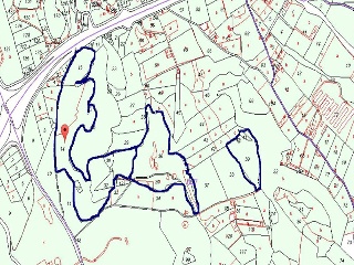PARAJE LOMA DE RODENAS 12