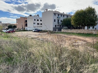 JAUME JUAN 2