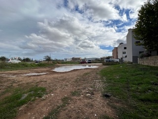 JAUME JUAN 6