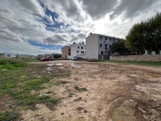 JAUME JUAN 8