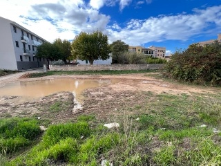 JAUME JUAN 9