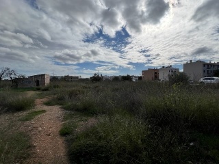 JAUME JUAN 10