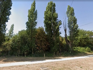 SITIO DE ARCO LA VIEJA, POLIGONO 34 PARCELA 86 2