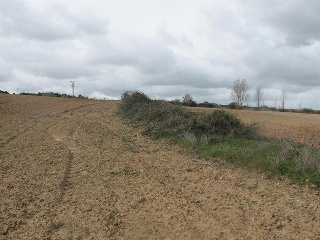 SITIO DE ARCO LA VIEJA, POLIGONO 34 PARCELA 86 3