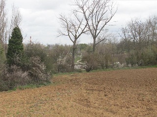 SITIO DE ARCO LA VIEJA, POLIGONO 34 PARCELA 86 4