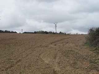 SITIO DE ARCO LA VIEJA, POLIGONO 34 PARCELA 86 5