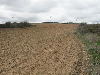 SITIO DE ARCO LA VIEJA, POLIGONO 34 PARCELA 86 6