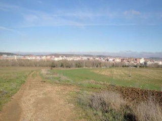 SITIO DE ARCO LA VIEJA, POLIGONO 34 PARCELA 86 8