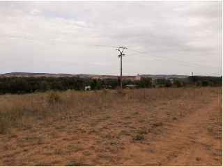 SITIO DE ARCO LA VIEJA, POLIGONO 34 PARCELA 86 10