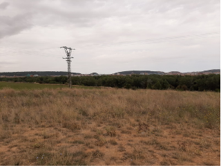 SITIO DE ARCO LA VIEJA, POLIGONO 34 PARCELA 86 11