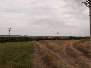 SITIO DE ARCO LA VIEJA, POLIGONO 34 PARCELA 86 14