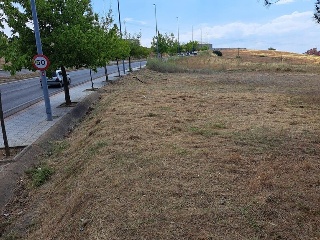 CARBAJAL 2