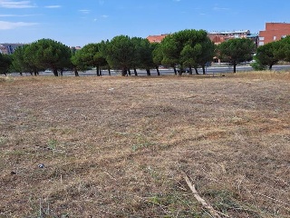 CARBAJAL 3
