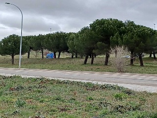 CARBAJAL 4