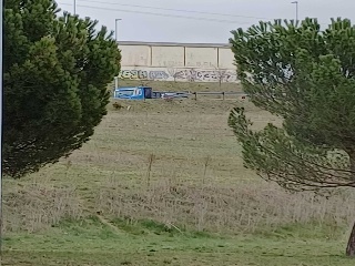 CARBAJAL 7