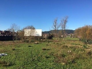 LA ISLA 6