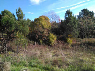 4, AR-40-E DEL PXOM, CARRETERA SANTA MARIÑA 5