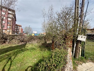 MOLINO 4