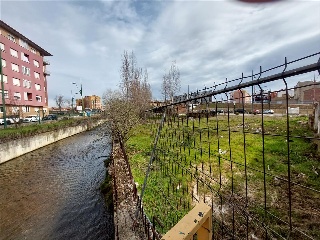 MOLINO 7