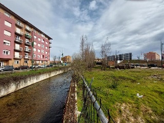 MOLINO 6