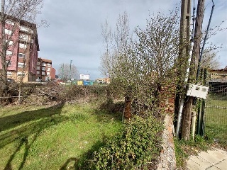MOLINO 7