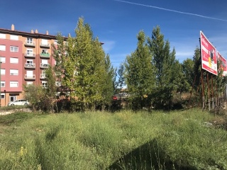 MOLINO 10