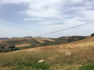 SUP-3 EXTENSION SUR II 6