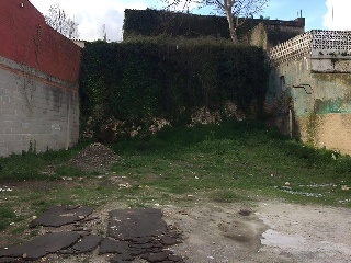 SAN ROQUE 2