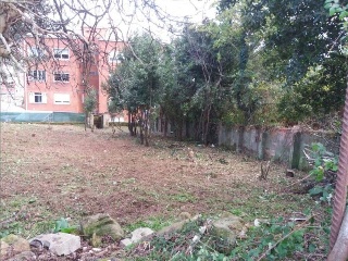 SAN ROQUE 3