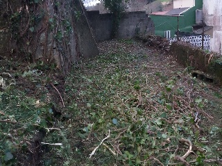 SAN ROQUE 4