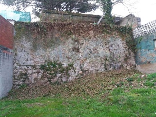 SAN ROQUE 5