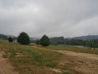 POMBAL 11