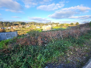 DA MARIÑA 6