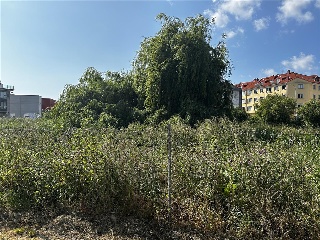 MUGARDOS 4