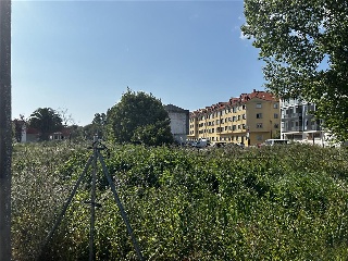 MUGARDOS 5