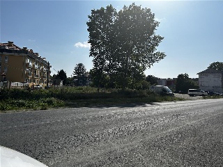 MUGARDOS 6