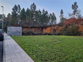 Pisos banco Rosal (O)